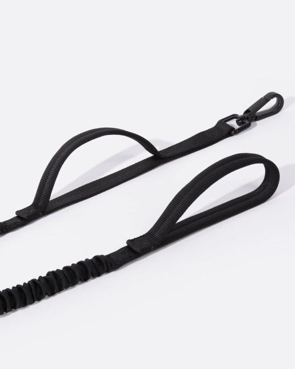 Dualpaddedhandlebungeedogleash_classicblack_1800x1800_11918294-7010-4cf1-bb88-bda5d7bec96b
