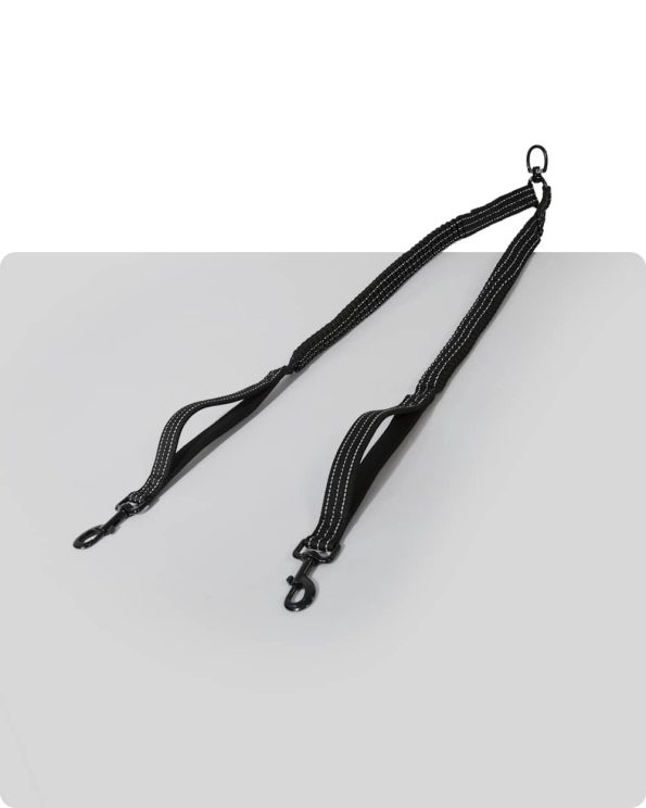 Hands-Free_Double_Dog_Leash_Splitter