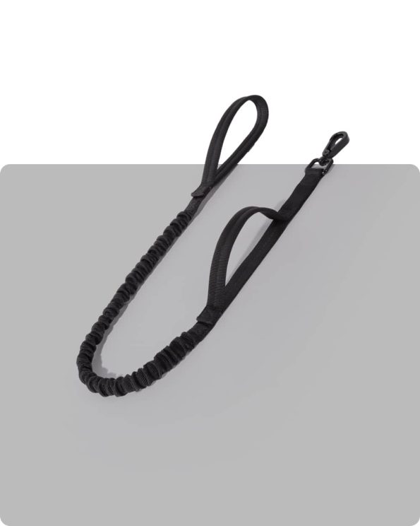 Heavy_Duty_Bungee_Dog_Leash_-_Classic_Black