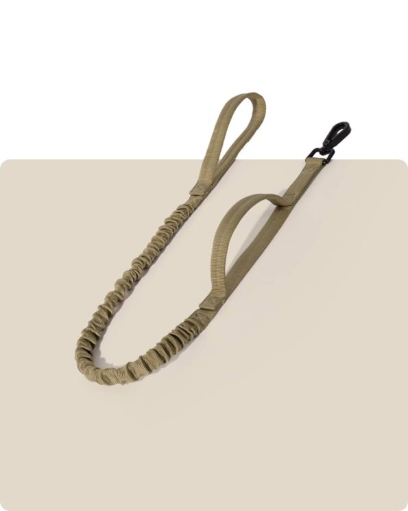 Heavy_Duty_Bungee_Dog_Leash_-_Khaki