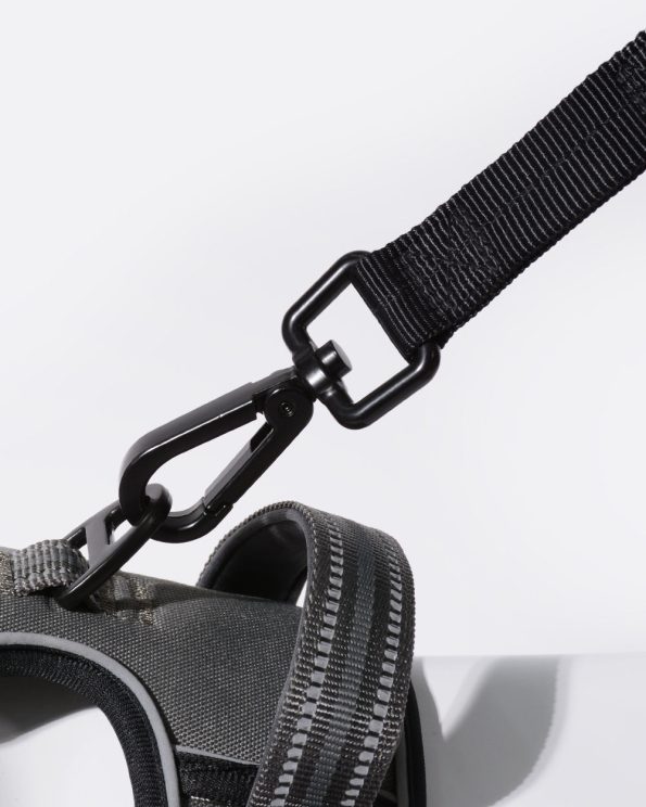 Heavydutybungeedogleash_classicblack_jpg_1800x1800_a8e999c0-1495-4b87-bfee-c2f6e59a9b50