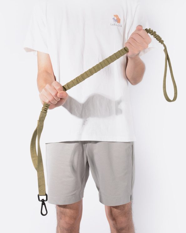 NoPullBugeeDogLeashKhaki_2