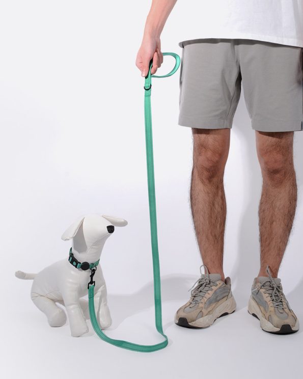SimplySoftReflectiveDogLeashForDailyWalking