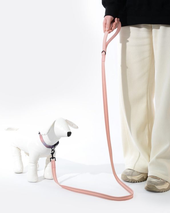 SimplySoftReflectiveDogLeashForDailyWalking_6956c859-4155-43df-ac80-a82849e64bdd