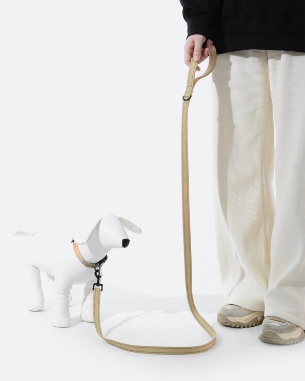 SimplySoftReflectiveDogLeashForDailyWalking_Forsmalldogs