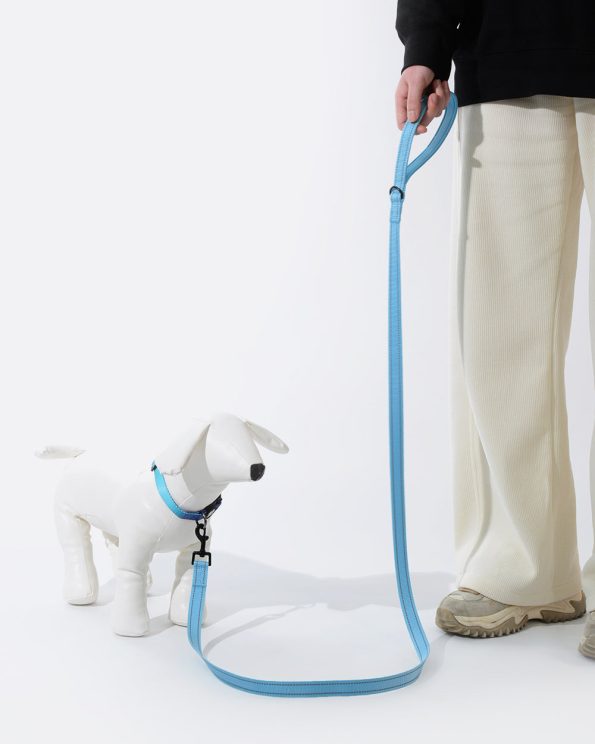 SimplySoftReflectiveDogLeashForDailyWalking_cdf86445-1b02-47e8-aa5a-9cd851b32b52