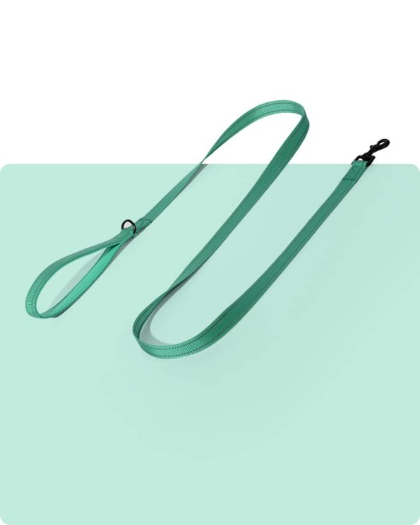Simply_Soft_Reflective_Dog_Leash_-_Emerald