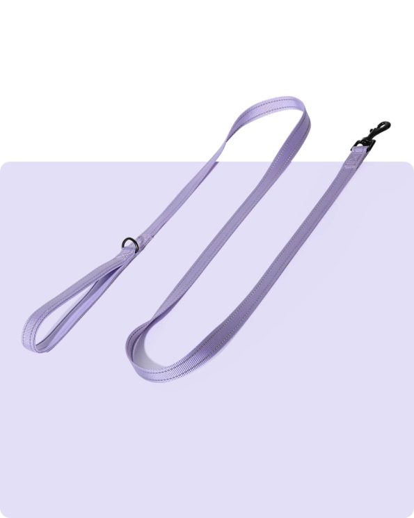 Simply_Soft_Reflective_Dog_Leash_-_Lavender