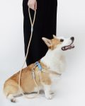 Reflective_Rope_Dog_Leash_-_Sandbeach