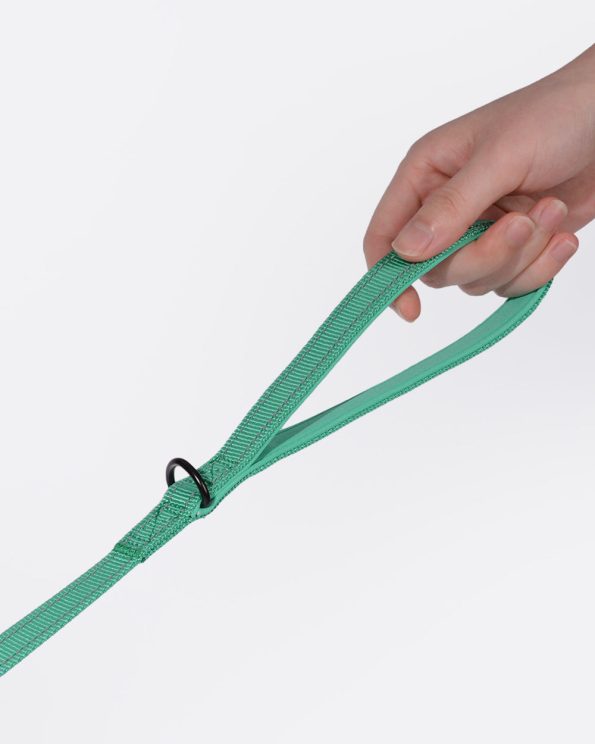 Softpaddedhandledogleash_Emerald