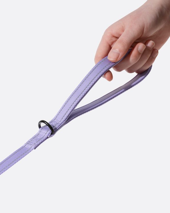 Softpaddedhandledogleash_Lavender