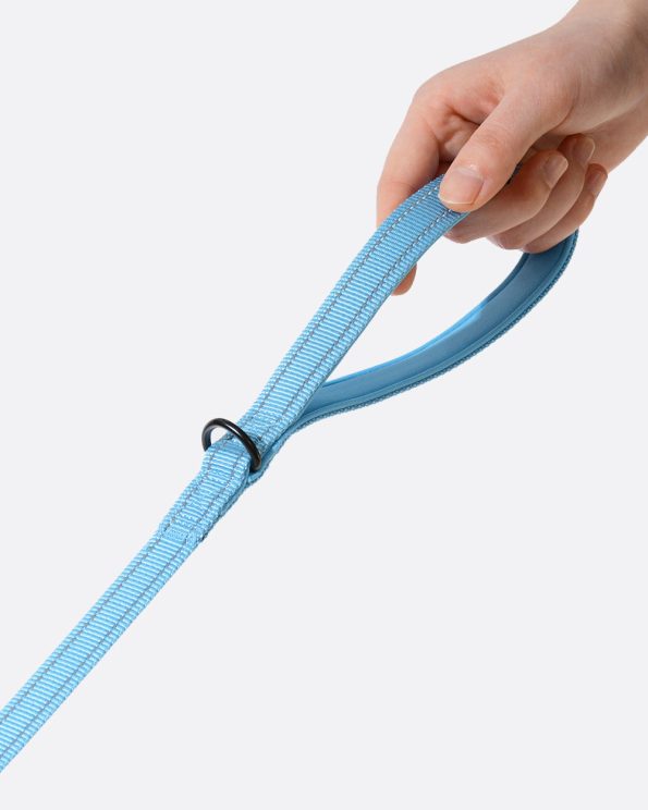 Softpaddedhandledogleash_SkyBlue