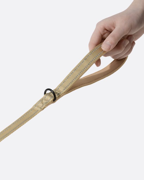 Softpaddedhandledogleash_Tan