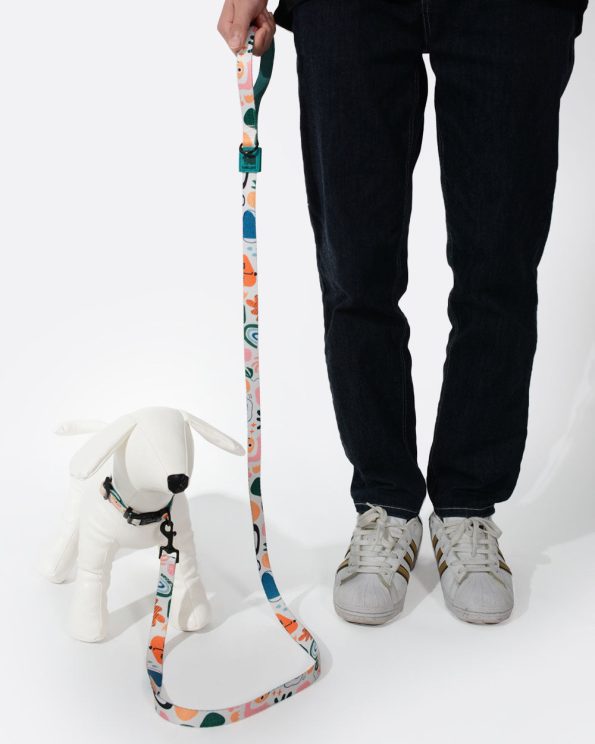 StandarddogleashforSmall_Mediumdogs