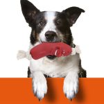 product-image-1317056371